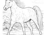 Coloriage Fer A Cheval Coloriage Chevaux