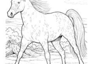 Coloriage Fer A Cheval Coloriage Chevaux