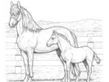 Coloriage Fer A Cheval Coloriage Chevaux