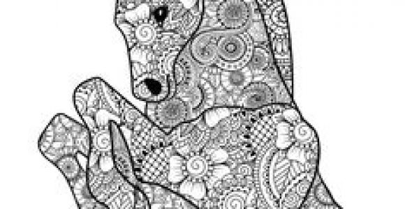 Coloriage Fer A Cheval Coloriage Chevaux
