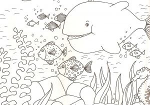 Coloriage Festin De Requin 145 Dessins De Coloriage Animaux   Imprimer