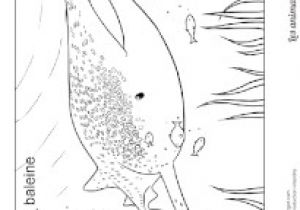 Coloriage Festin De Requin Coloriage Requin Sur Hugolescargot