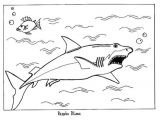 Coloriage Festin De Requin Requin Coloriages Vidéos Et Tutoriels Lire Et Apprendre