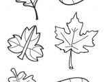 Coloriage Feuille D Automne Maternelle 41 Best Enfant Images On Pinterest