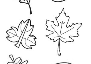 Coloriage Feuille D Automne Maternelle 41 Best Enfant Images On Pinterest