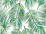 Coloriage Feuille De Palmier Dessin Feuillage Vector Illustration De Palmier Feuille Verte