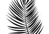 Coloriage Feuille De Palmier Feuille De Palmier Banque D Vecteurs Et Illustrations Libres