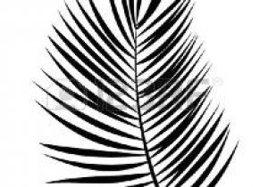 Coloriage Feuille De Palmier Feuille De Palmier Banque D Vecteurs Et Illustrations Libres