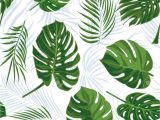 Coloriage Feuille De Palmier Mod¨le Tropical Dessiné Main Transparente Avec Des Feuilles De