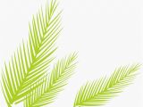 Coloriage Feuille De Palmier Vert De Feuilles De Palmier Vecteur Dessin Peint   La Main Png Et