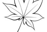 Coloriage Feuille De Vigne 11 Meilleures Images Du Tableau Feuille De Vigne