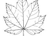 Coloriage Feuille De Vigne â Dessin Colorier Gratuit Feuille De Vigne