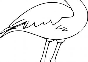 Coloriage Flamant Rose Gratuit Coloriage Deux Baleines   Imprimer