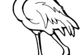 Coloriage Flamant Rose Gratuit épinglé Par Linda Bell Sur More Favorite Things