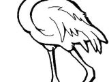Coloriage Flamant Rose Gratuit épinglé Par Linda Bell Sur More Favorite Things