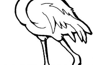 Coloriage Flamant Rose Gratuit épinglé Par Linda Bell Sur More Favorite Things