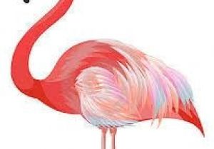 Coloriage Flamant Rose Imprimé Flamand Rose Pinterest