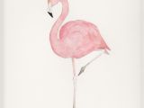 Coloriage Flamant Rose Imprimé Flamingo Inspiration Tatoo Pinterest