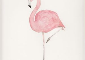 Coloriage Flamant Rose Imprimé Flamingo Inspiration Tatoo Pinterest
