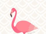 Coloriage Flamant Rose Imprimé Fond D écran Flamant Rose Pinterest