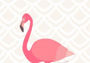 Coloriage Flamant Rose Imprimé Fond D écran Flamant Rose Pinterest