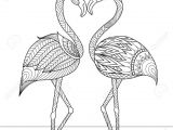 Coloriage Flamant Rose Imprimé Les 23 Meilleures Images Du Tableau Coloriage Sur Pinterest