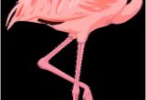 Coloriage Flamant Rose Imprimé Résultat De Recherche D Images Pour "flamant Rose Dessin Animé