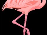 Coloriage Flamant Rose Imprimé Résultat De Recherche D Images Pour "flamant Rose Dessin Animé
