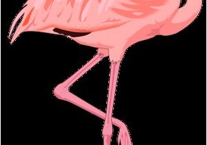 Coloriage Flamant Rose Imprimé Résultat De Recherche D Images Pour "flamant Rose Dessin Animé