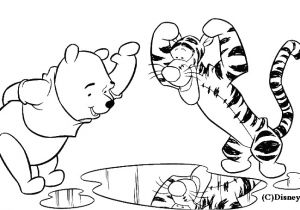 Coloriage Flaque D Eau Dessin Coloriage Tigrou