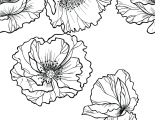Coloriage Fleur Adulte Gratuit Coquelicot Coloriage Pour Adulte Imprimer Coloriage Adulte A
