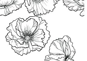 Coloriage Fleur Adulte Gratuit Coquelicot Coloriage Pour Adulte Imprimer Coloriage Adulte A