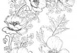 Coloriage Fleur Adulte Gratuit Modeles Gratuits Page 2 Le Petit Monde De souris