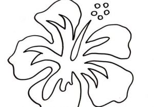 Coloriage Fleur D Hibiscus Coloriage Fleur Hibiscus