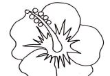 Coloriage Fleur D Hibiscus Coloriage Fleur Hibiscus