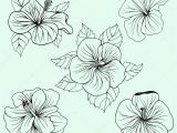 Coloriage Fleur D Hibiscus Ensemble De Feuilles Fleurs D’hibiscus Hawaï — Image