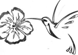 Coloriage Fleur D Hibiscus Fleur D Hibiscus Colibri Tattoos