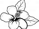 Coloriage Fleur D Hibiscus Fleur Dhibiscus Hawaïen Noir Et Blanc Livre De Coloriage