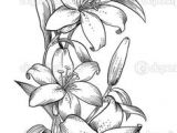 Coloriage Fleur De Lys Royale Les 32 Meilleures Images De Dessin orchidée