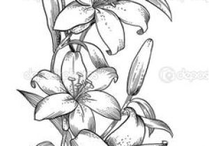 Coloriage Fleur De Lys Royale Les 32 Meilleures Images De Dessin orchidée