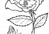 Coloriage Fleur Et Papillon A Imprimer Coloriage De Papillon Sur Une Fleur