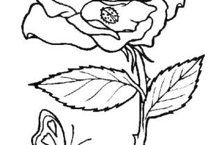 Coloriage Fleur Et Papillon A Imprimer Coloriage De Papillon Sur Une Fleur