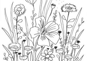 Coloriage Fleur Et Papillon A Imprimer Coloriage   Imprimer Fleurs Et Papillon
