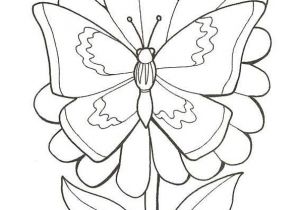 Coloriage Fleur Et Papillon A Imprimer Papillon Fleur Coloriage