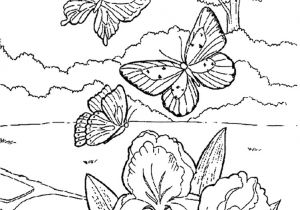 Coloriage Fleurs D été 95 Dessins De Coloriage Fleurs D été à Imprimer
