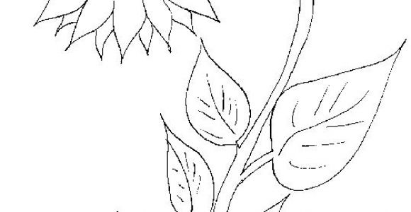 Coloriage Fleurs Et Plantes à Imprimer 104 Best Coloriages Images On Pinterest