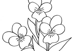 Coloriage Fleurs Et Plantes à Imprimer 348 Best Coloriage Images On Pinterest
