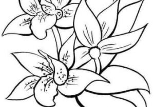 Coloriage Fleurs Exotiques Imprimer Coloriage Dessiner A Imprimer Fleurs Exotiques