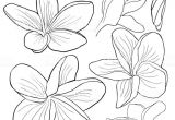 Coloriage Fleurs Exotiques Imprimer Dessin De Fleurs Exotiques A Imprimer