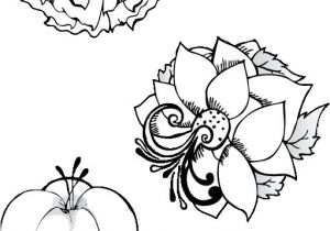 Coloriage Fleurs Exotiques Imprimer Dessin De Fleurs Exotiques A Imprimer